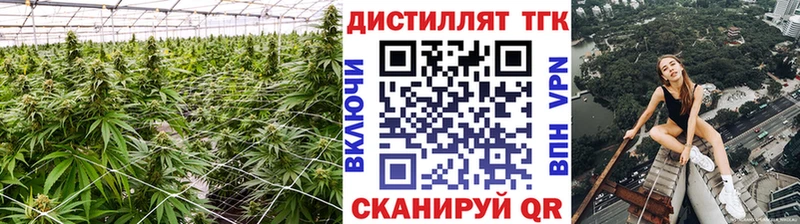 darknet официальный сайт  Вологда  Дистиллят ТГК THC oil 