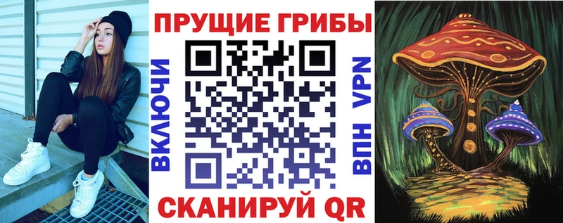 где купить наркоту  Вологда  МЕГА ССЫЛКА  Псилоцибиновые грибы Cubensis 